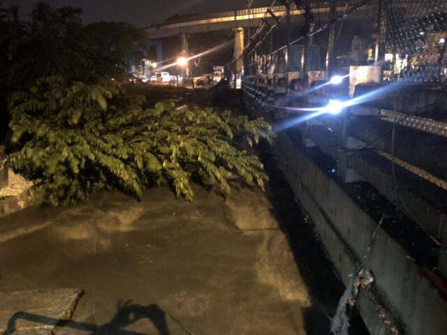 Bengaluru angst of heavy rain on Sunday night; two wheeler dies after hitting at fallen tree