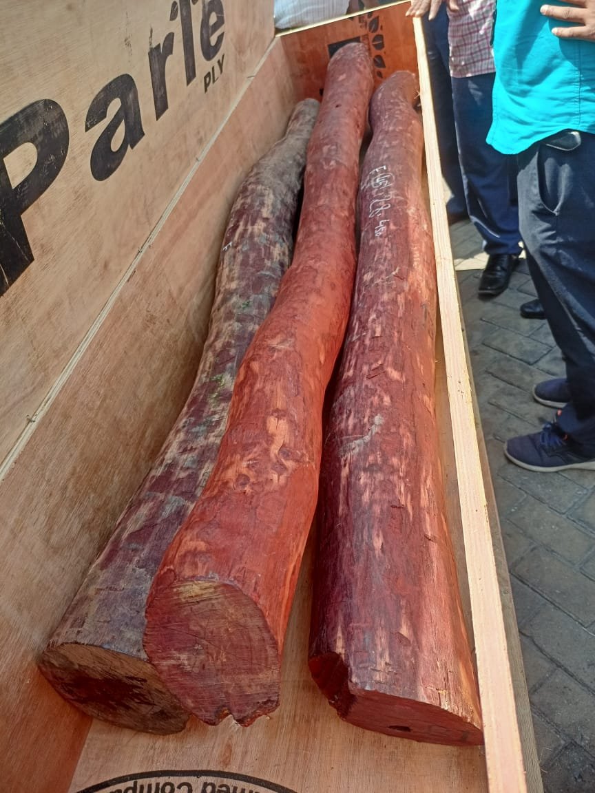 Red Sandalwood worth Rs 2.4 crore seized at Bangalore airport; Three arrested