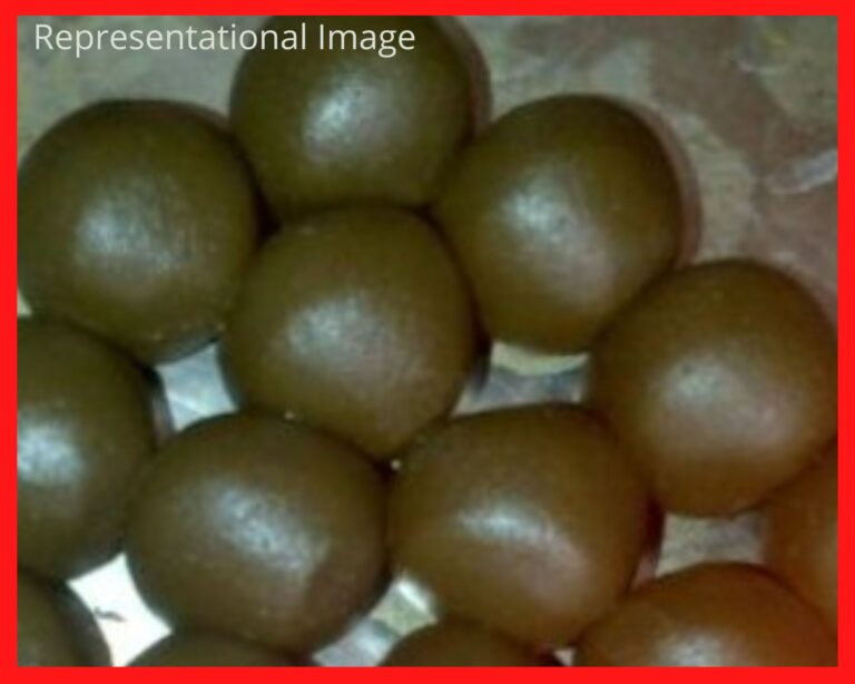 ಎನ್ಡಿಪಿಎಸ್ ಕಾಯ್ದೆಯಡಿ 'ಭಾಂಗ್' ನಿಷೇಧಿಸಿಲ್ಲ: ಕರ್ನಾಟಕ ಹೈಕೋರ್ಟ್ 7 Bhang
