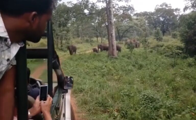 Elephant chased during safari in Chamarajanagar, author Bhagwan narrowly escapes