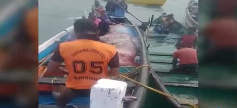 Mangalore: Boat sinks — 9 fishermen rescued