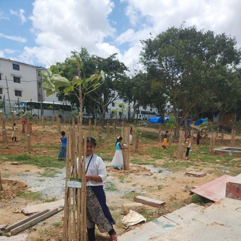 More than 90,000 trees have been planted and nurtured under the "Green Bangalore" program under BBMP
