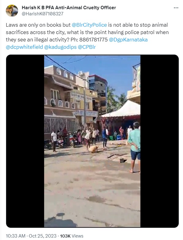 Bengaluru | Sheep sacrifice near Patalamma Devi and Safalamma temple; An FIR has been registered against three persons Bengaluru | Sheep sacrifice near Patalamma Devi and Safalamma temple; An FIR has been registered against three persons
