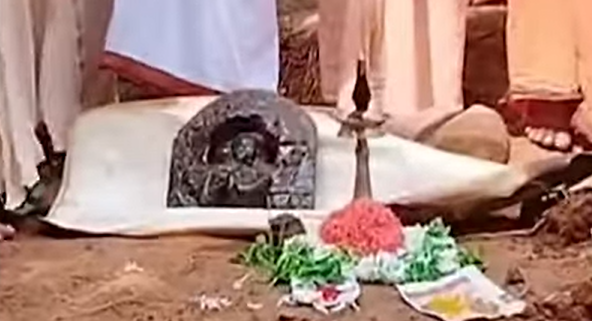 12th century idol of God Gopalakrishna was found during excavations at Areca Farm in Belthangadi taluk