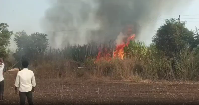 Kalaburagi: Shot circuit claims 4 lakh worth of sugarcane burnt