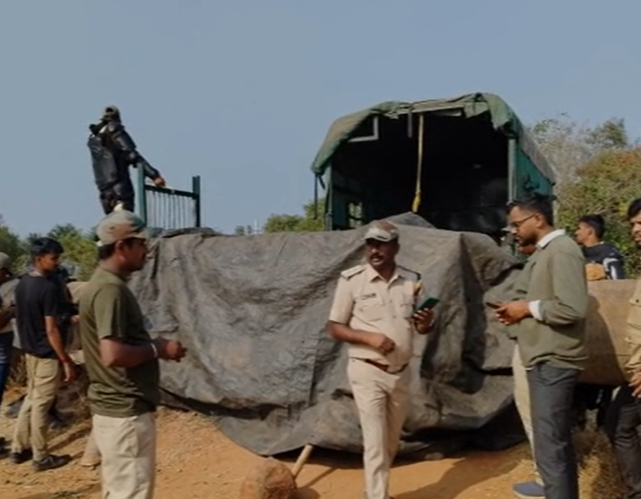 Two leopards trapped inside an old pipeline Rescued in Mysore