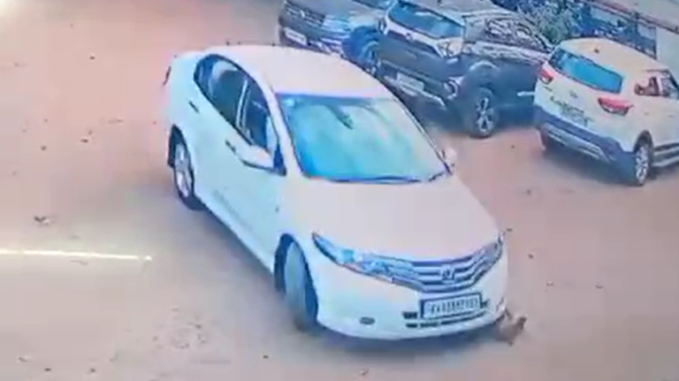 Horrific scene caught on CCTV in Bengaluru — Cruelty when a car drove over a sleeping dog