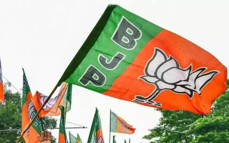 BJP logo Flag