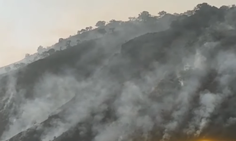 Mullaiyanagiri: Forest Fires destroyed Hundreds of acres of grasslands| ಕಾಡು ಬೆಂಕಿಗಾಹುತಿ, ಕಾಡ್ಗಿಚ್ಚಿಗೆ ನೂರಾರು ಎಕರೆ ಹುಲ್ಲುಗಾವಲು 8 Mullaiyanagiri: Forest Fires destroyed Hundreds of acres of grasslands