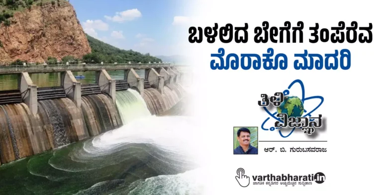 ಬಳಲಿದ ಬೇಗೆಗೆ ತಂಪೆರೆವ ಮೊರಾಕೊ ಮಾದರಿ