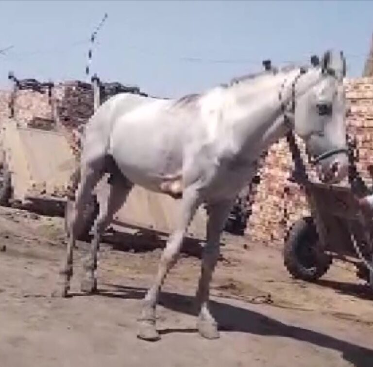 Screenshot_2024-04-17-08-51-55-56_0b2fce7a16bf2b728d6ffa28c8d60efb