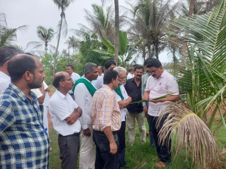 ಹೆಮ್ಮಾಡಿ ಸಮೀಪದ ಕನ್ನಡಕುದ್ರು ತೆಂಗಿನಮರಗಳಿಗೆ ಕೀಟ ಬಾಧೆ: ರೈತ ಸಂಘದಿಂದ ಭೇಟಿ