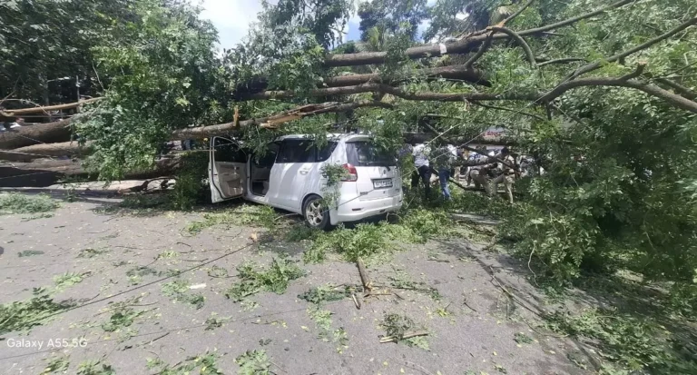 ಬೆಂಗಳೂರು | ಚಲಿಸುತ್ತಿದ್ದ ಕಾರಿನ ಮೇಲೆ ಬಿದ್ದ ಬೃಹತ್ ಮರ : ಚಾಲಕ ಪ್ರಾಣಾಪಾಯದಿಂದ ಪಾರು