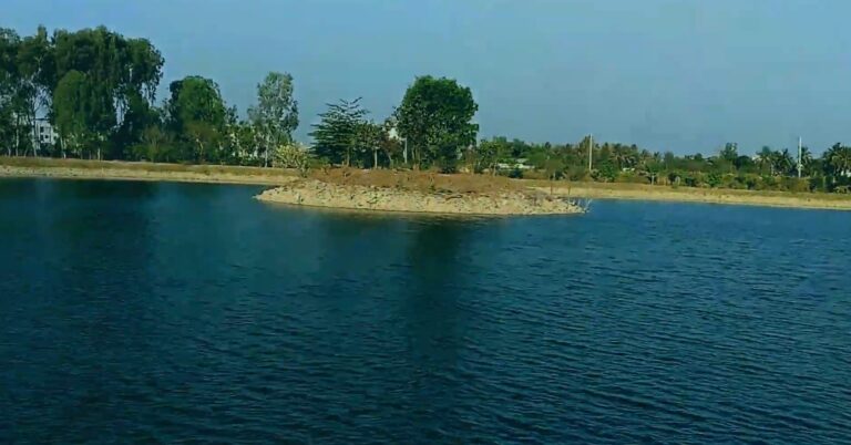 Screenshot_2024-09-23-08-10-51-38_f9ee0578fe1cc94de7482bd41accb329