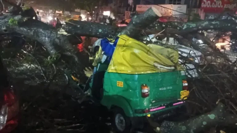 Bengaluru-Rain-Auto-Driver-Death