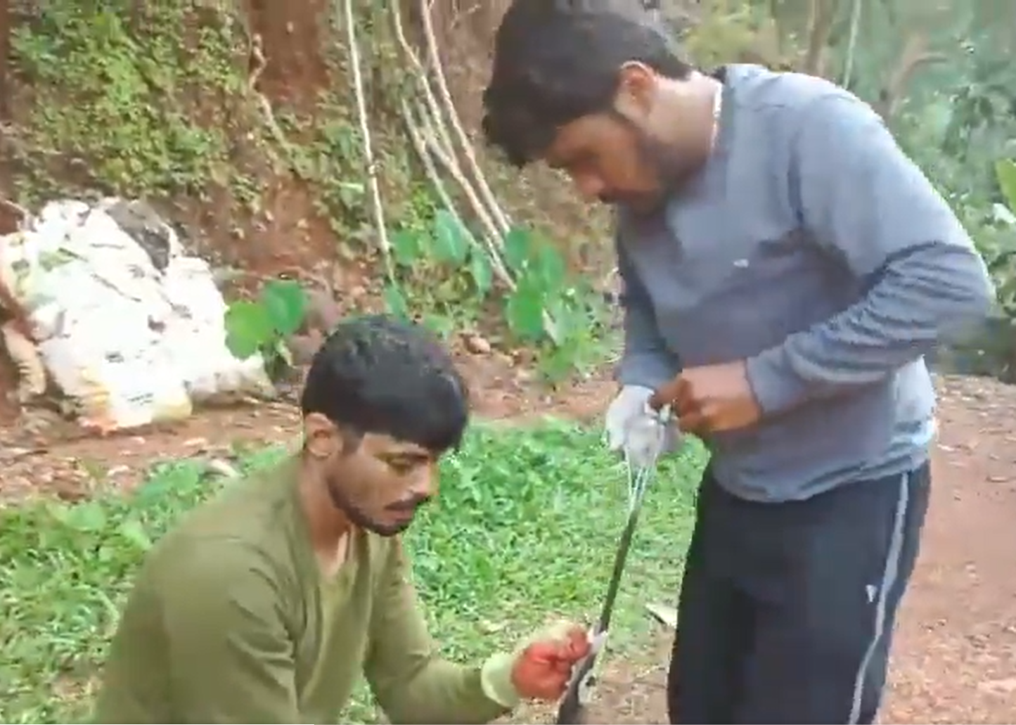 Kumta| ವಿಲಕ್ಷಣ ಘಟನೆಯಲ್ಲಿ ಚಾಕು ನುಂಗಿದ ನಾಗರಹಾವು 2 Kumta | Cobra swallows knife in bizarre incident