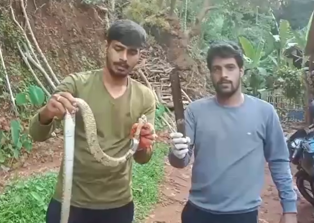 Kumta| ವಿಲಕ್ಷಣ ಘಟನೆಯಲ್ಲಿ ಚಾಕು ನುಂಗಿದ ನಾಗರಹಾವು 4 Kumta | Cobra swallows knife in bizarre incident