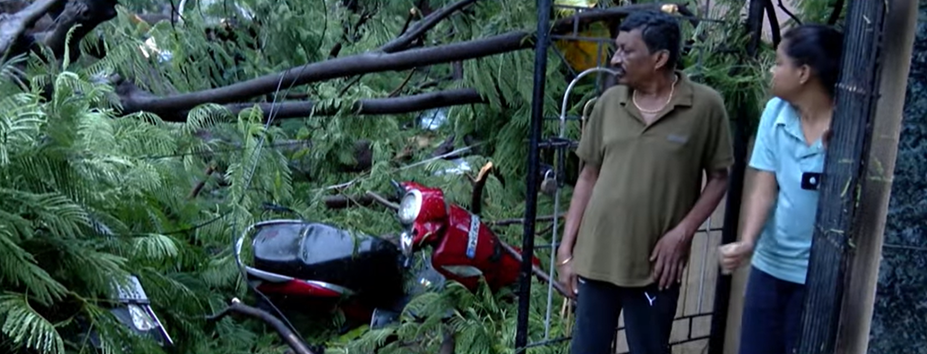 Bengaluru rains: Huge trees uprooted, vehicles damaged, roads flooded