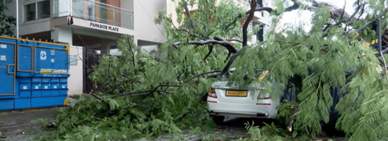 Bengaluru rains: Huge trees uprooted, vehicles damaged, roads flooded