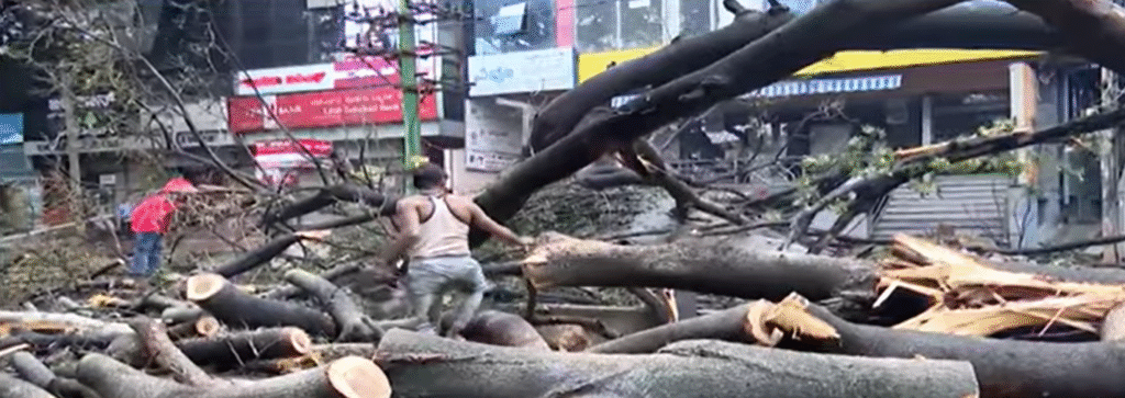Massive tree uprooted due to heavy rain near Navrang Circle — two cars, three bikes damaged