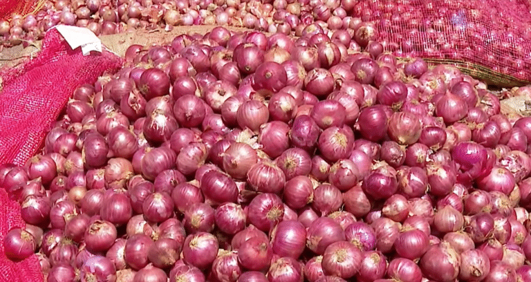 State proposes to purchase under PDPS in wake of falling onion prices – Letter to Centre: Minister Shivanand Patil