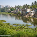 Sarakki Lake encroachment: Chief Secretary forms committee as per High Court order, report due in 2 months