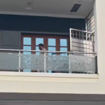 Gang disguised as policemen robs BEL Layout; ₹20 lakh cash, jewellery stolen