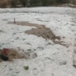 Sudden weather change: Thunderstorms, hailstorms in Karnataka