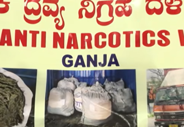 Bangalore police raid: Ganja worth Rs 3.57 crore seized