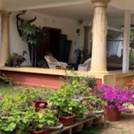 ಕೊಡಗು ಹೋಂಸ್ಟೇಯಲ್ಲಿ ಅಮೆರಿಕನ್ ಪ್ರವಾಸಿಗೆಯ ಮೇಲೆ ಲೈಂಗಿಕ ದೌರ್ಜನ್ಯ ಆರೋಪ; ಸಿಬ್ಬಂದಿ, ಮಾಲೀಕ ಬಂಧನ