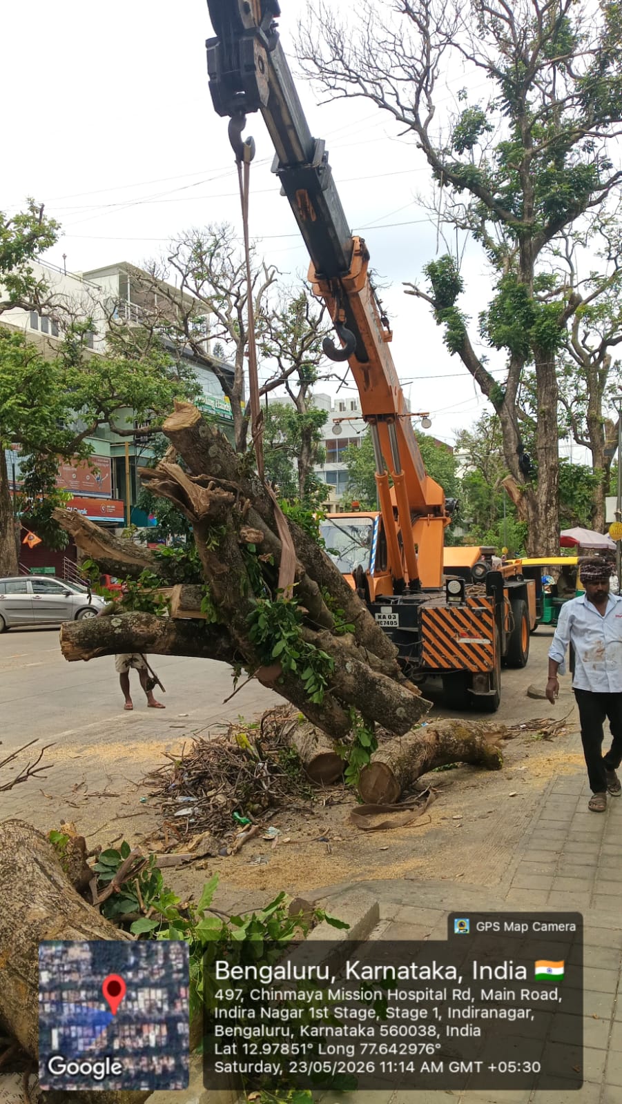 ಮಳೆ ಅವಾಂತರದ ಬಳಿಕ ಬೆಂಗಳೂರಿನಲ್ಲಿ ಅಪಾಯಕಾರಿ ಮರಗಳ ತೆರವು ಕಾರ್ಯ ತೀವ್ರಗೊಳಿಸಿದ ಕೇಂದ್ರ ನಗರ ಪಾಲಿಕೆ