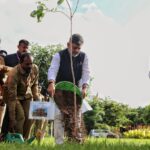 ವಿಶ್ವ ಪರಿಸರ ದಿನ: ಹಸಿರು ಕರ್ನಾಟಕಕ್ಕೆ ಕರೆ ನೀಡಿದ ಸಿಎಂ ಡಿ.ಕೆ. ಶಿವಕುಮಾರ್; ಕೆಂಪೇಗೌಡ ಜಯಂತಿಗೆ 15 ಲಕ್ಷ ಸಸಿ ನೆಡುವ ಘೋಷಣೆ