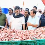 ಸಿಎಂ ದಿಢೀರ್ ಭೇಟಿಯ ವೇಳೆ ಮಂಗಳೂರು ಮೀನುಗಾರಿಕಾ ಬಂದರಿನಲ್ಲಿ ವ್ಯಾಪಾರ ಸ್ಥಗಿತ; ವರದಿಗೆ ಡಿ.ಕೆ. ಶಿವಕುಮಾರ್ ಆದೇಶ, ಅಧಿಕಾರಿಗಳ ಅಮಾನತು ಎಚ್ಚರಿಕೆ