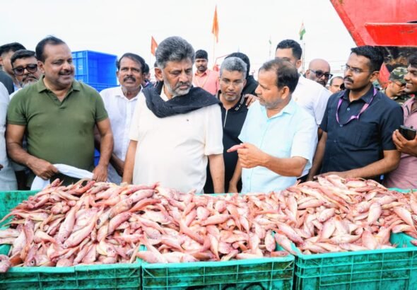 ಸಿಎಂ ದಿಢೀರ್ ಭೇಟಿಯ ವೇಳೆ ಮಂಗಳೂರು ಮೀನುಗಾರಿಕಾ ಬಂದರಿನಲ್ಲಿ ವ್ಯಾಪಾರ ಸ್ಥಗಿತ; ವರದಿಗೆ ಡಿ.ಕೆ. ಶಿವಕುಮಾರ್ ಆದೇಶ, ಅಧಿಕಾರಿಗಳ ಅಮಾನತು ಎಚ್ಚರಿಕೆ