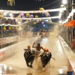 ಮೈಸೂರು ದಸರಾ ಕಂಬಳದ ಬೆಳಕಿನ ಅಖಾಡದಲ್ಲಿ ಓಡುತ್ತಿರುವ ಕೋಣಗಳ ಜೋಡಿ ಮತ್ತು ಓಟಗಾರ