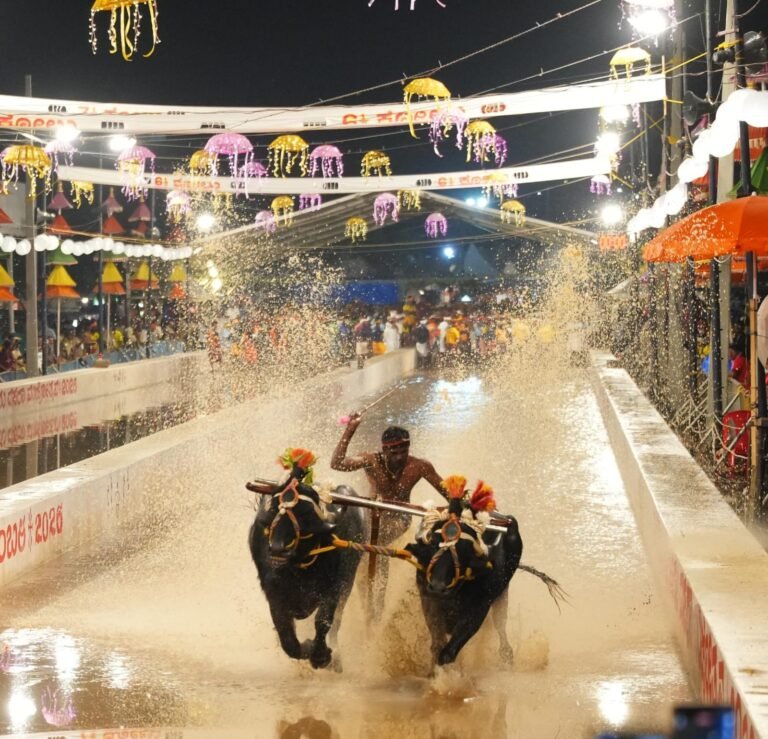 ಮೈಸೂರು ದಸರಾ ಕಂಬಳದ ಬೆಳಕಿನ ಅಖಾಡದಲ್ಲಿ ಓಡುತ್ತಿರುವ ಕೋಣಗಳ ಜೋಡಿ ಮತ್ತು ಓಟಗಾರ