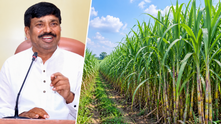 ಕಬ್ಬಿನ ಕಟಾವು–ರಿಕವರಿ ಅಧ್ಯಯನಕ್ಕೆ ಕರ್ನಾಟಕ ಸಿದ್ಧತೆ; ಸರ್ಕಾರಿ ಮೇಲ್ವಿಚಾರಣೆಯ ತೂಕ ವ್ಯವಸ್ಥೆ ಪರಿಶೀಲನೆ